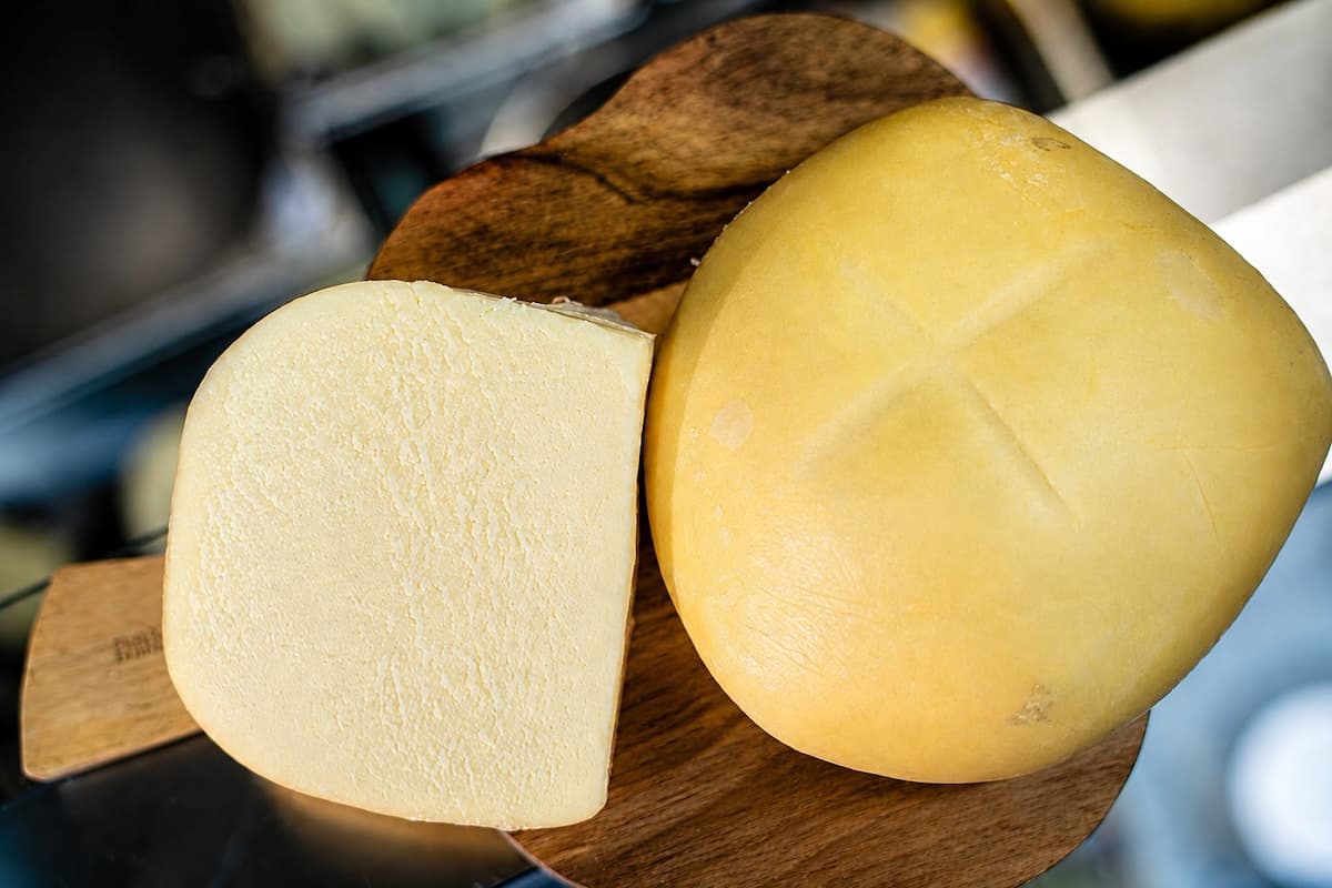 Brânză frământată de Teaca - traditional cheese from Romania