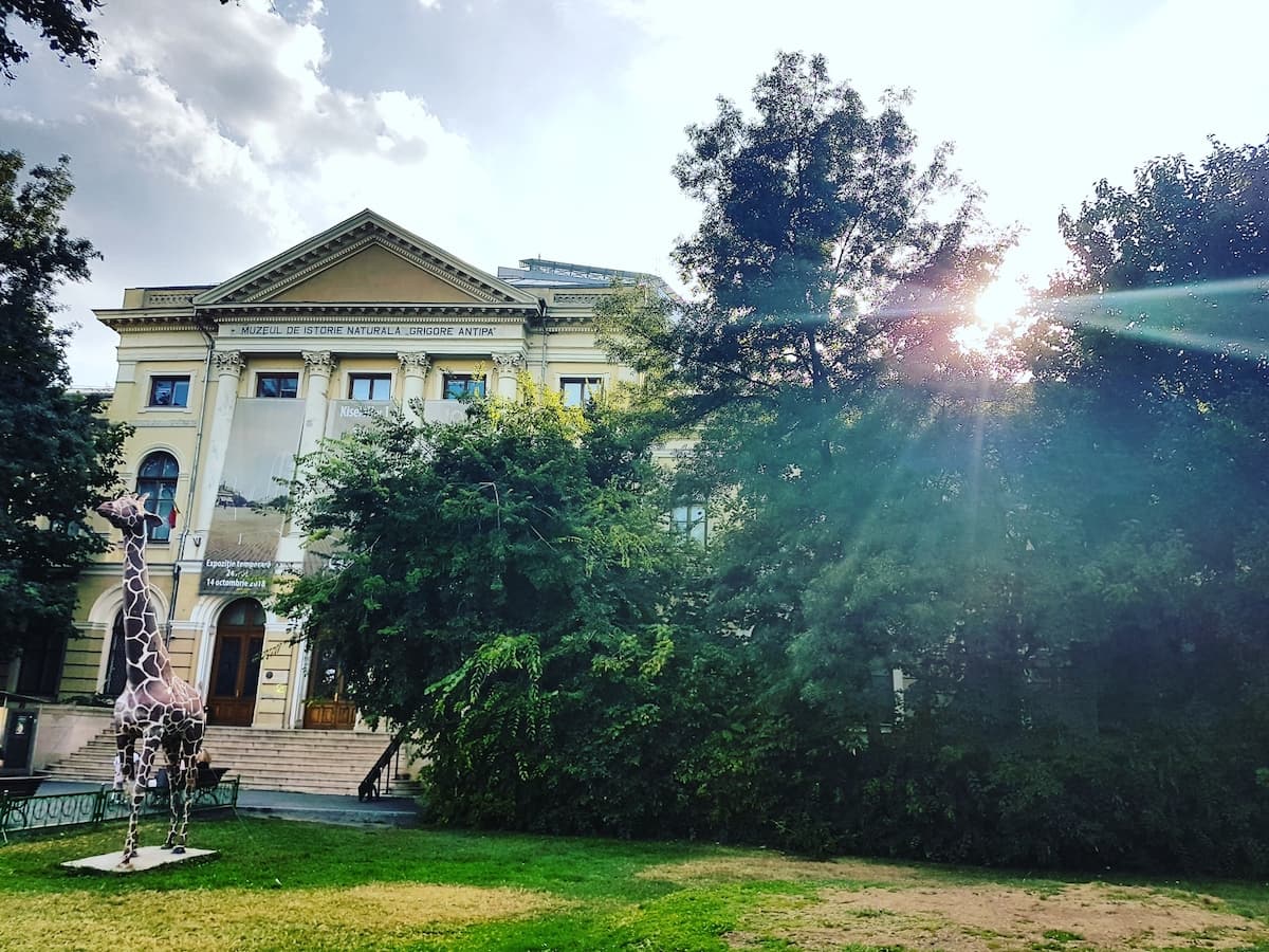 Antipa Museum