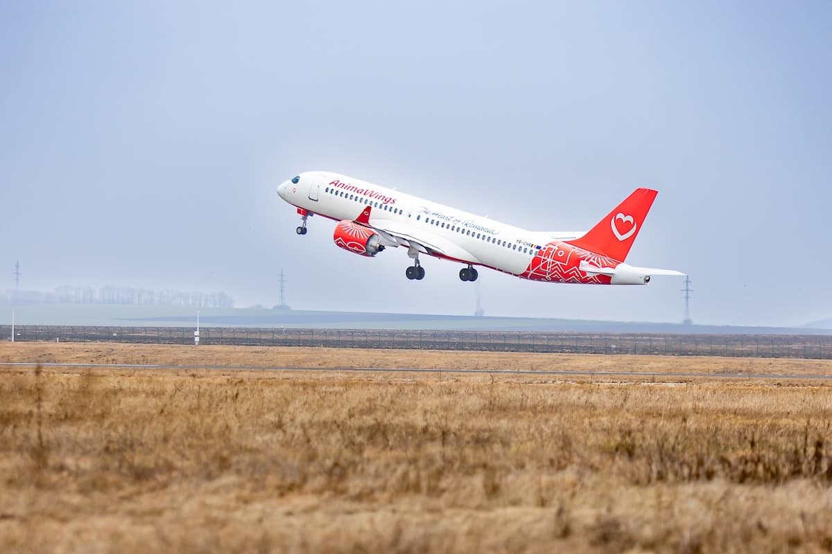 AnimaWings plane taking off.