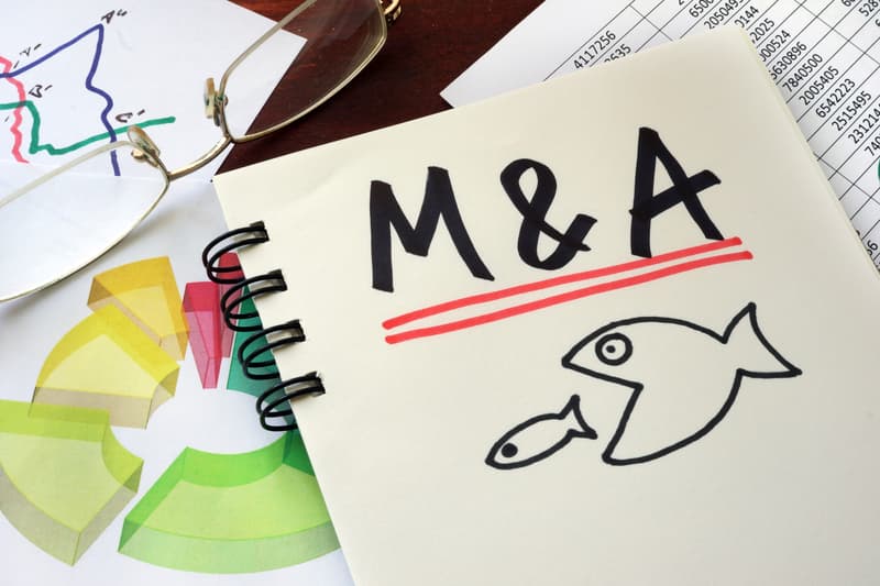 Report: Over half of private equity funds in Romania foresee increase in M&A in 2025