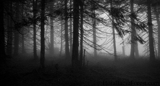 Welcome to the dark side: Seven mysterious places in Romania | Romania ...