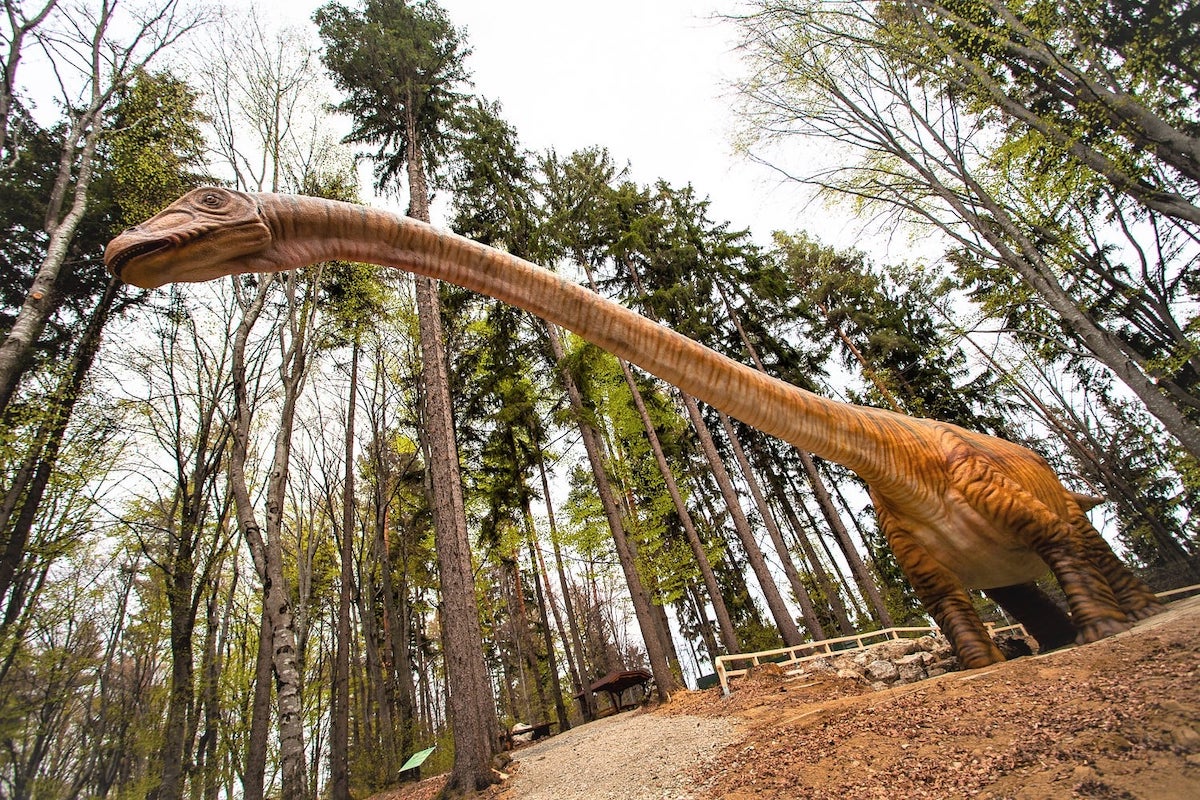 Dino Parc din România atrage 0,5 milioane de vizitatori în 2021 și plănuiește mai multe investiții în acest an