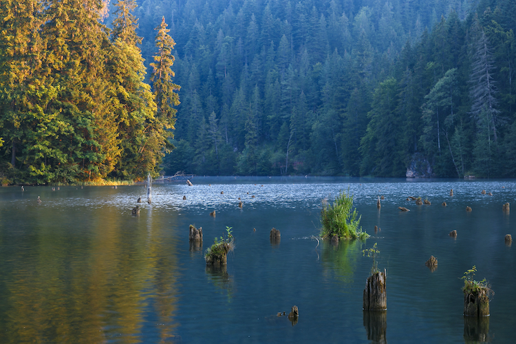 Red Lake