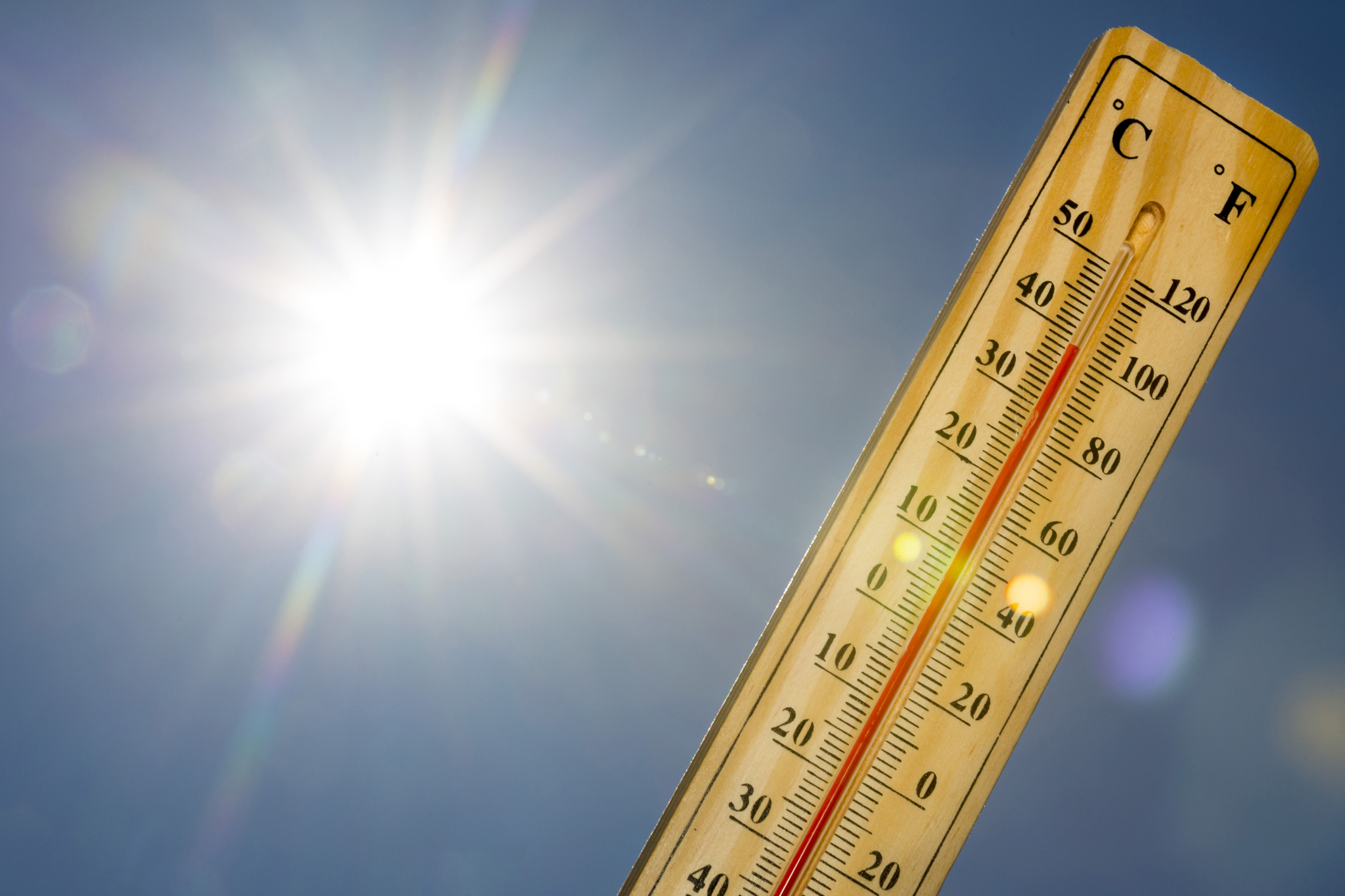 Romania sees historically high temperatures in February