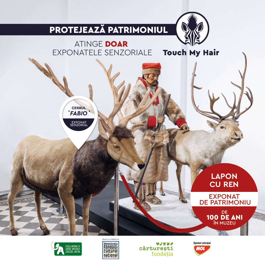 Natural History Museum in Bucharest: AR app allows interactive visiting experience