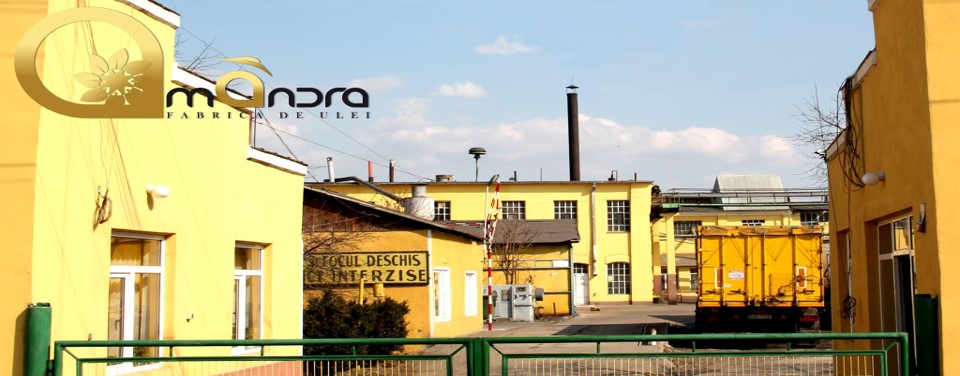 Romanian entrepreneur buys bankrupt sunflower oil plant for EUR 1.8 mln