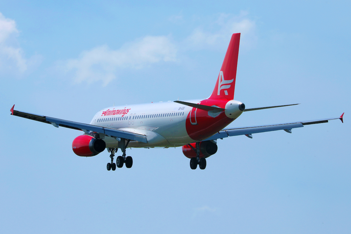 Tour operator Christian Tour seeks full ownership of Animawings