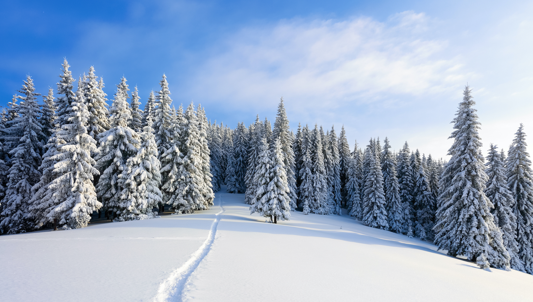 Dreamstime stock photo community launches Wallpaper App