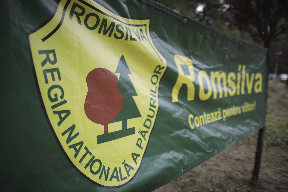 Romsilva hires politician previously investigated for illegal restitution of own forests