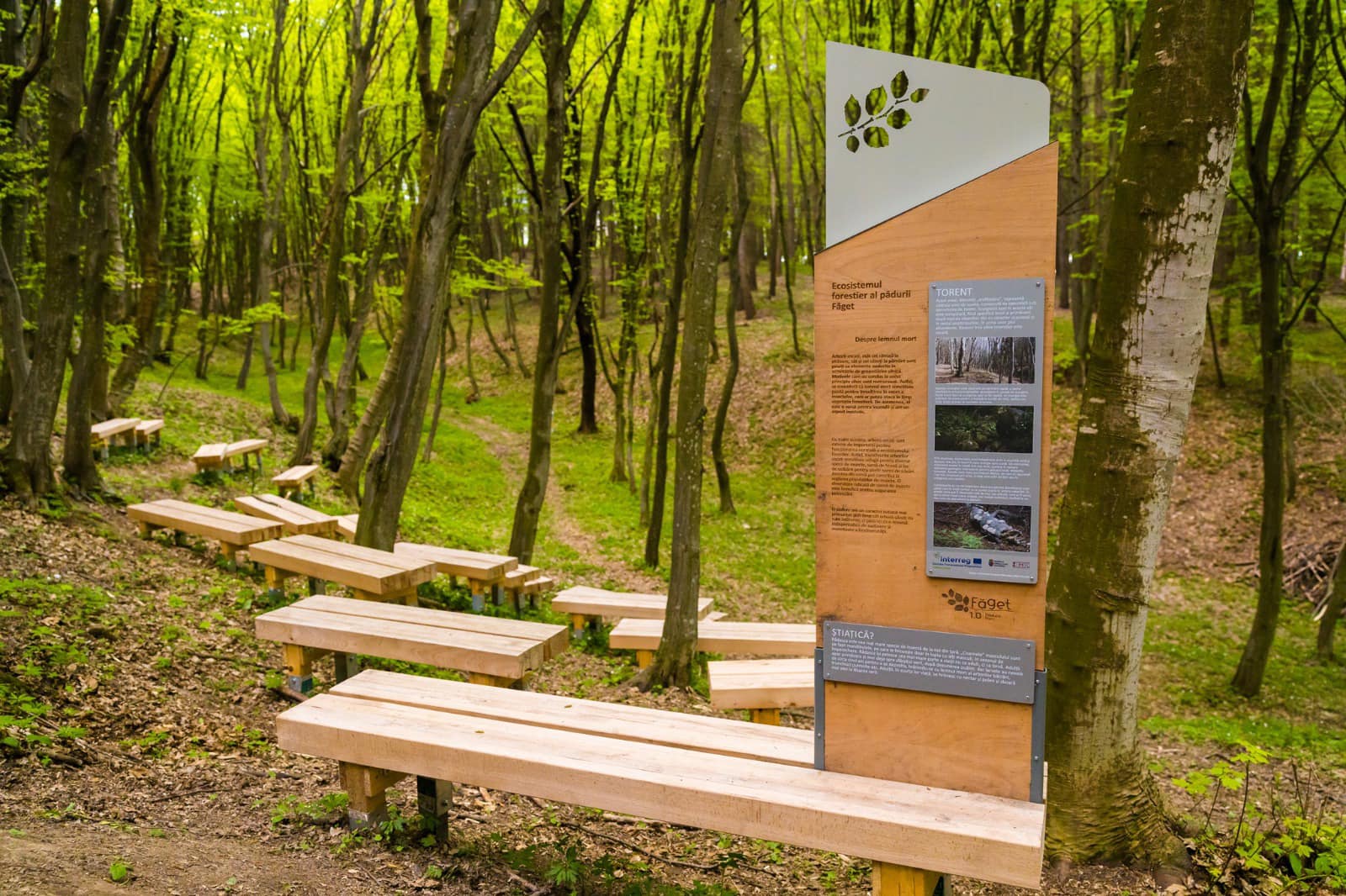 Romanian project “Făget Forest-Park” nominated at the European New Bauhaus Festival