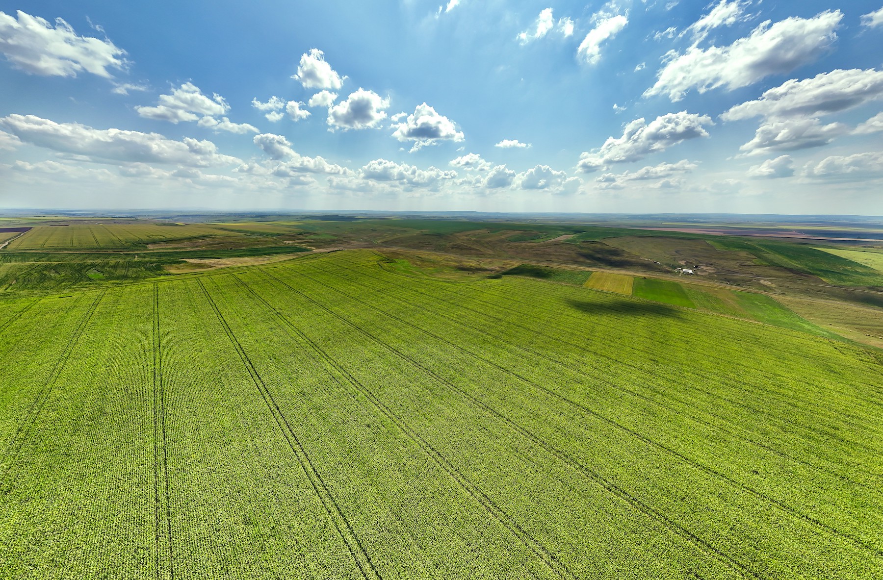 Large cereal farm with own silos in North-Eastern Romania on sale for EUR 32 mln
