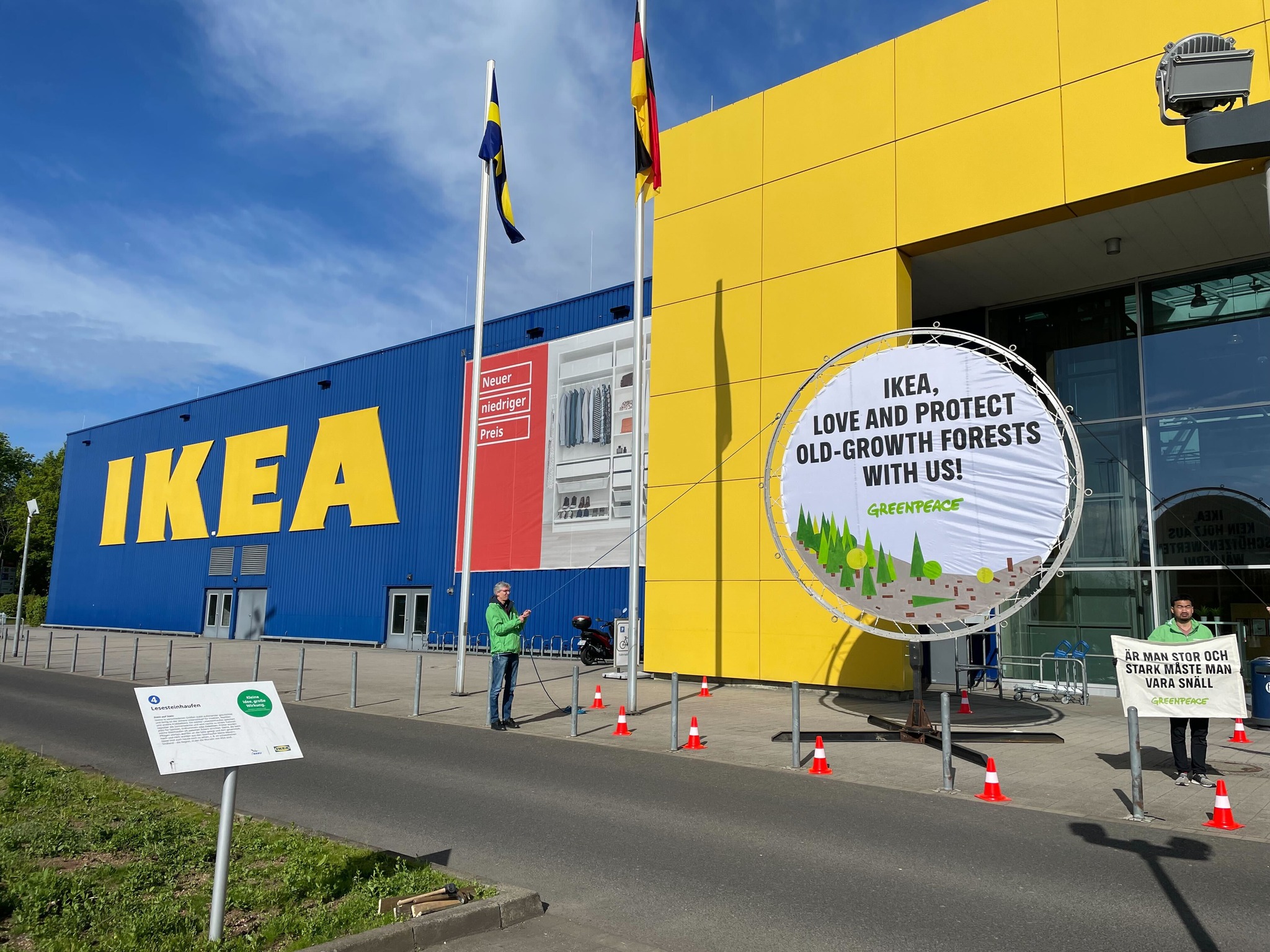 IKEA sourcing wood from old-growth Romanian forests, Greenpeace report says