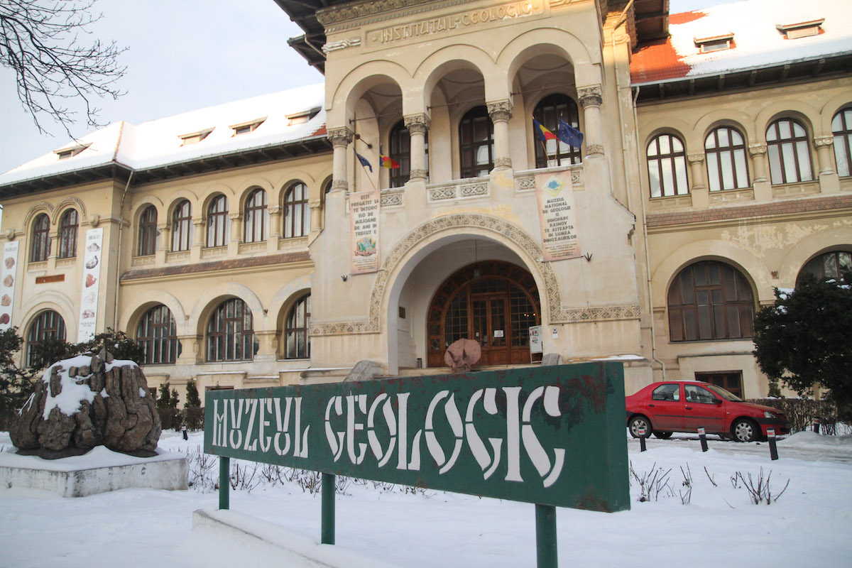 Bucharest’s Geology Museum joins initiative to become autism-friendly