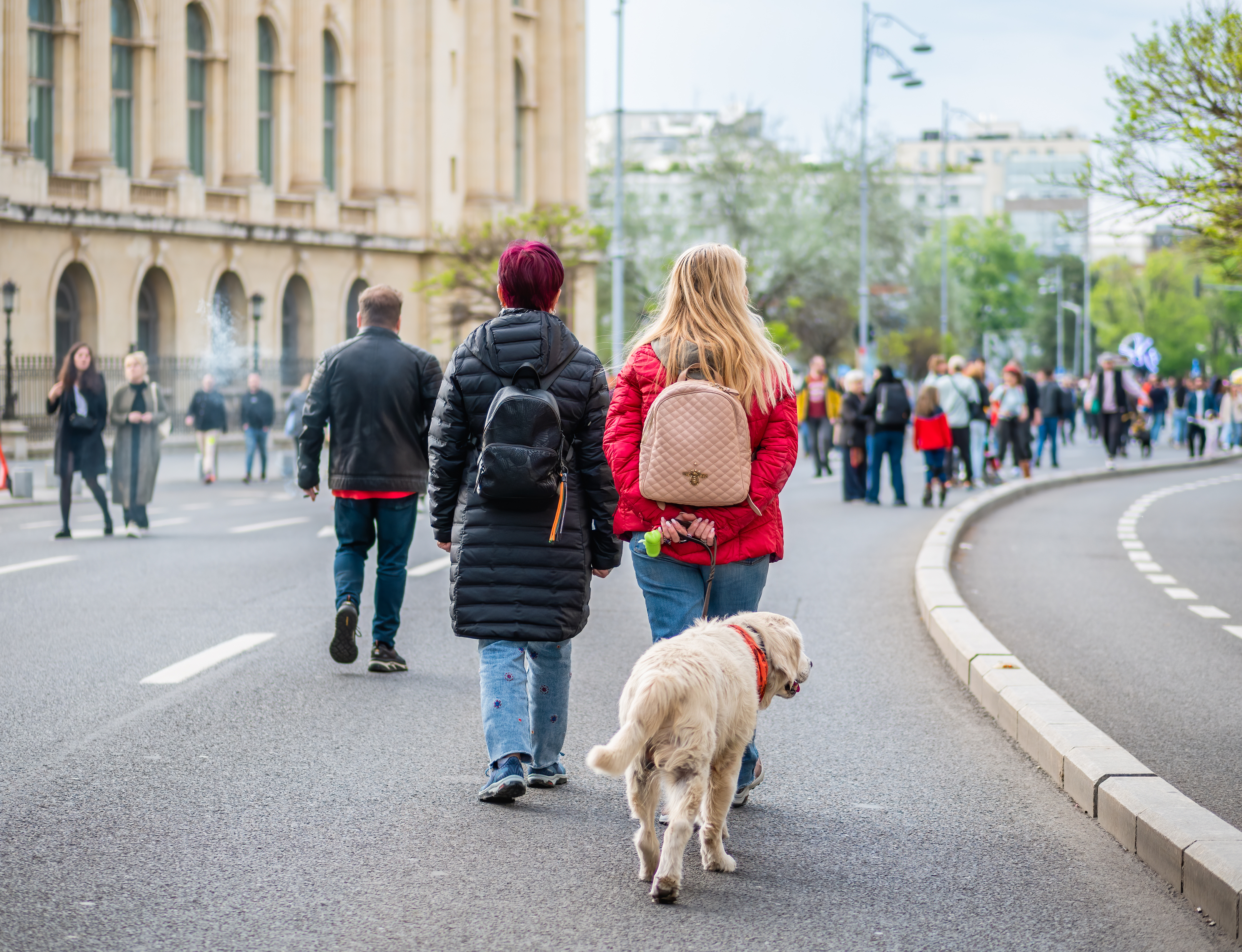 Bucharest City Hall considers allowing pets into public institutions