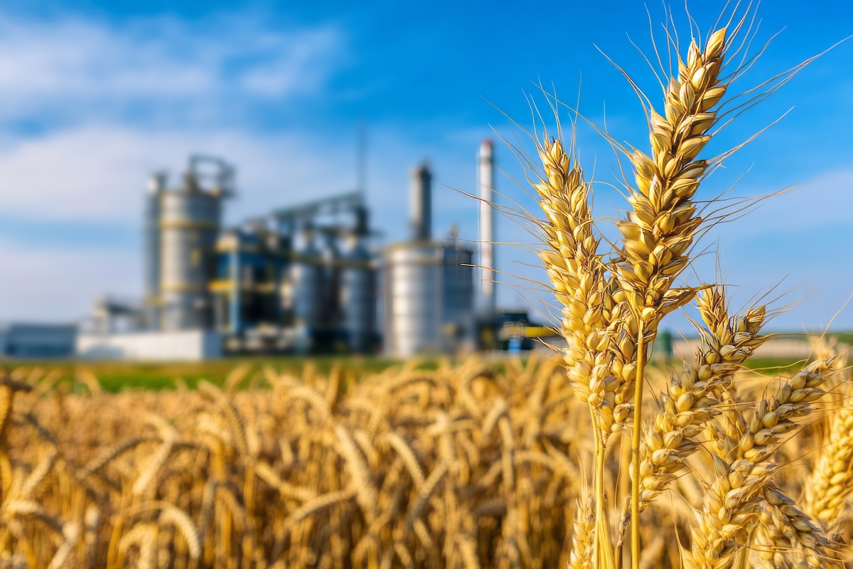 DN AGRAR Și BSOG Energy Pregătesc O Investiție De 30 Milioane EUR Într-o Fabrică De Biometan În România