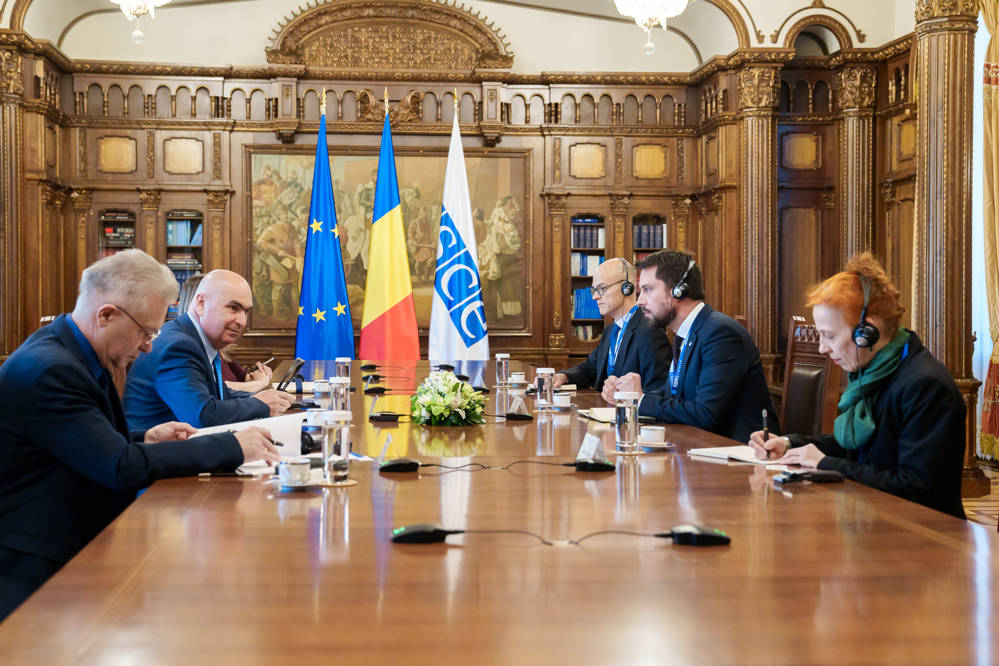 Romanian interim president meets with OSCE election observation mission