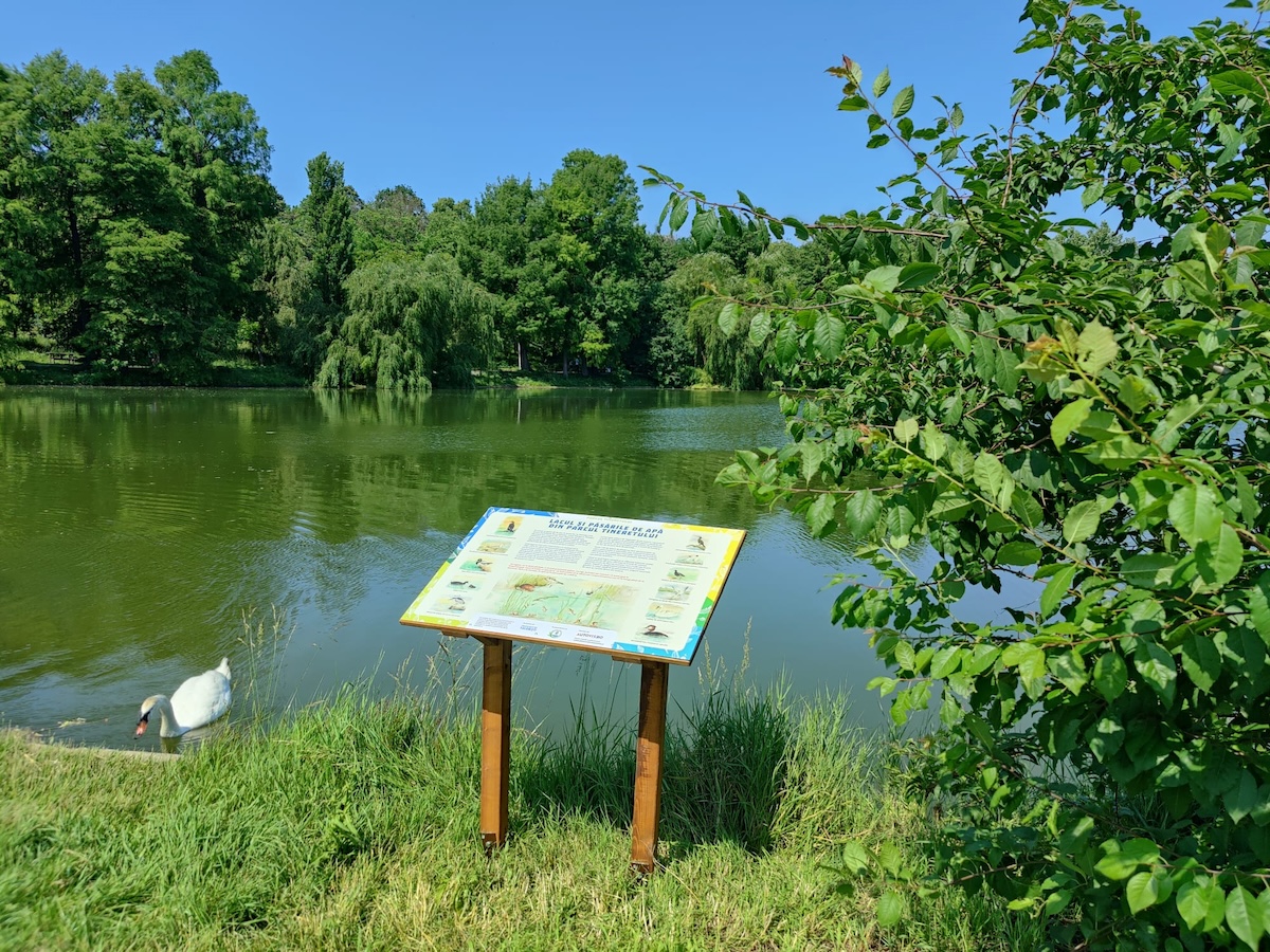  Descoperă biodiversitatea urbană și frumusețea naturii ascunse chiar în inima orașului!