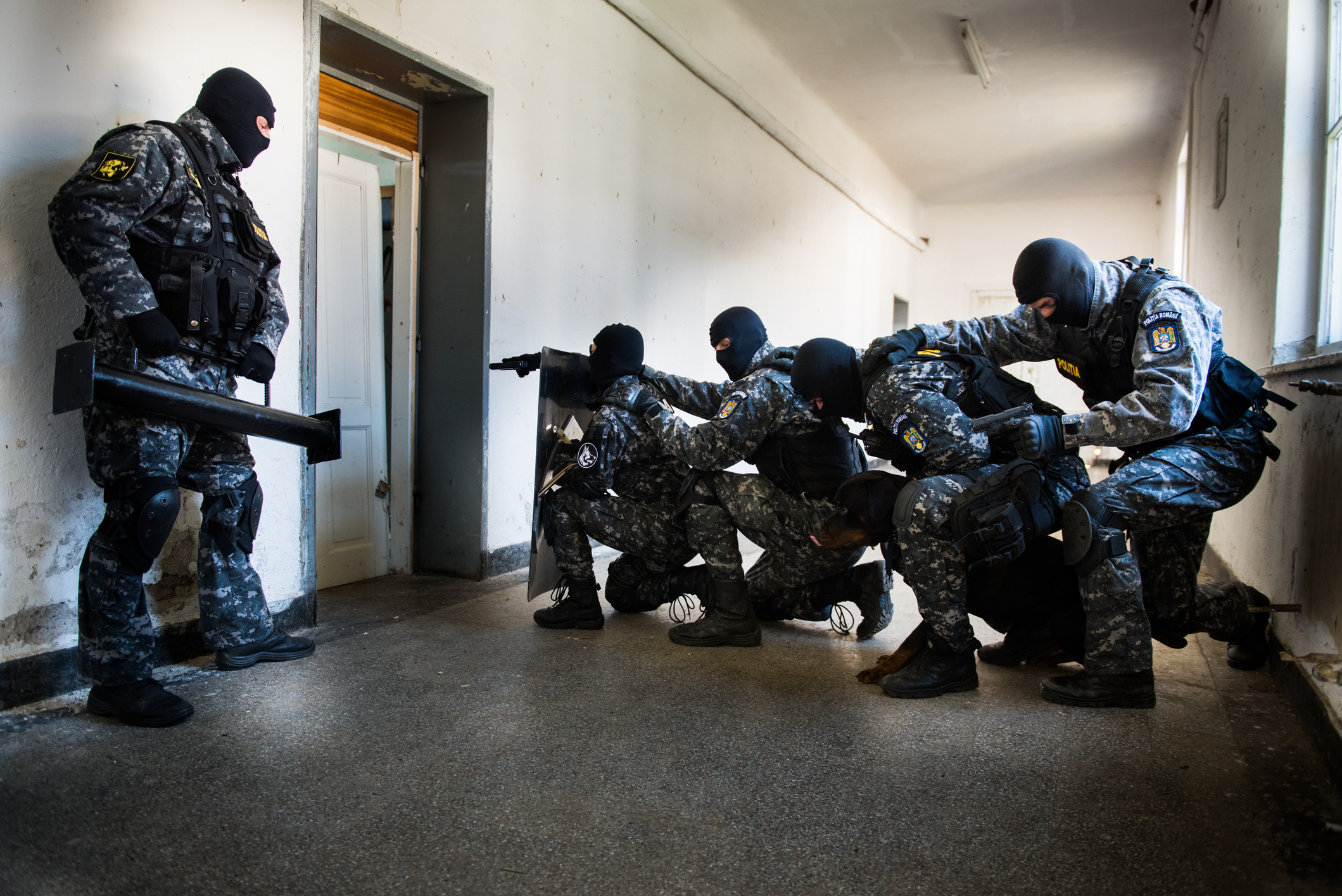 Poliția Română Confiscă Arsenal Impresionant în Operațiunea Jupiter – 1.600 de Percheziții și 230 de Rețineri în Cea Mai Mare Acțiune din Istorie