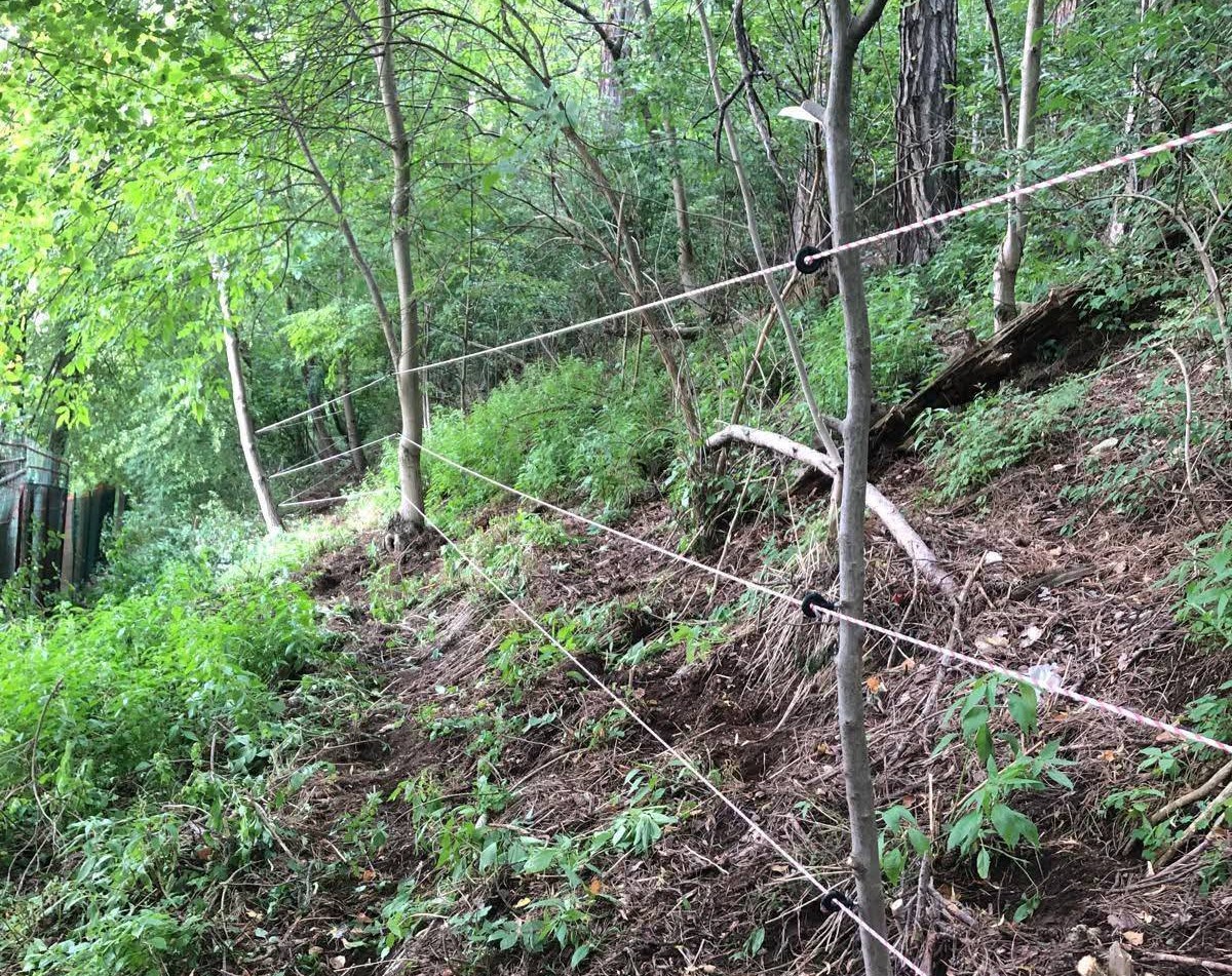 Râșnov montează garduri electrice pentru a proteja locuitorii de urși – măsură crucială pentru siguranță în centrul României.