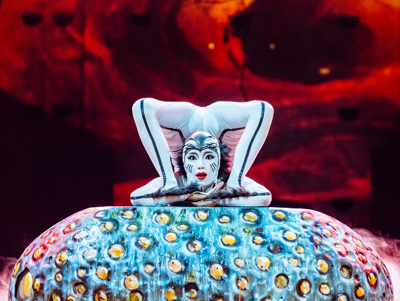 Cirque du Soleil to bring “Ovo” show to Cluj-Napoca in April 2026