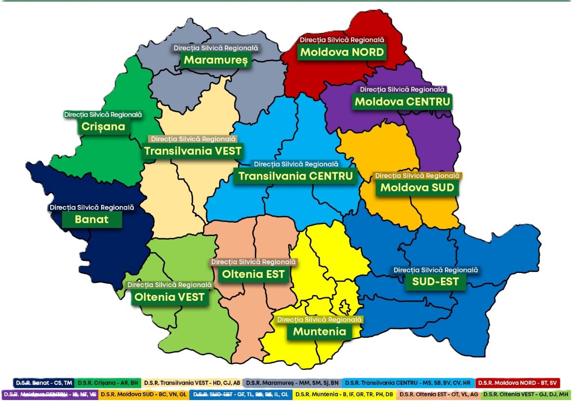 Ministerul Mediului dezvăluie planul de reformare a Romsilva pentru eficientizarea gestionării pădurilor de stat din România