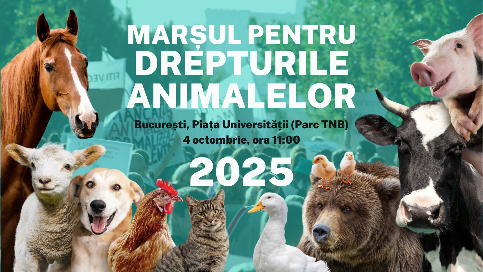 Alătură-te cauzei pe 4 Octombrie!