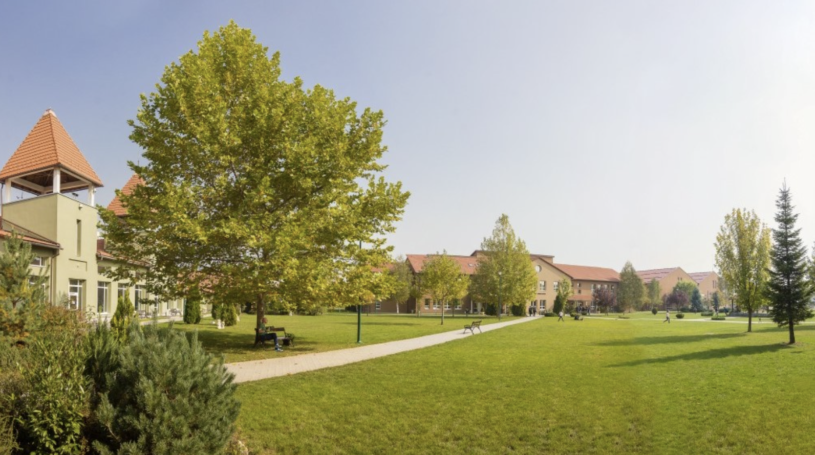 AISB Lansează Global Impact Diploma, Primul de Acest Fel în România