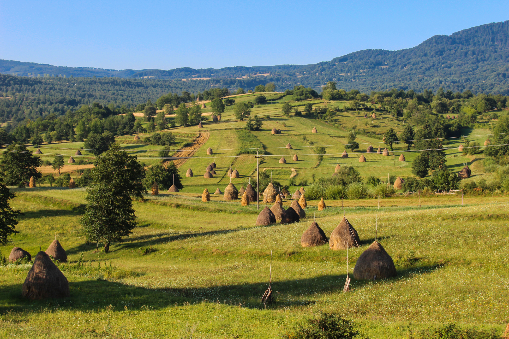 Romanian president greenlights "Life in the Countryside" program promoting rural areas