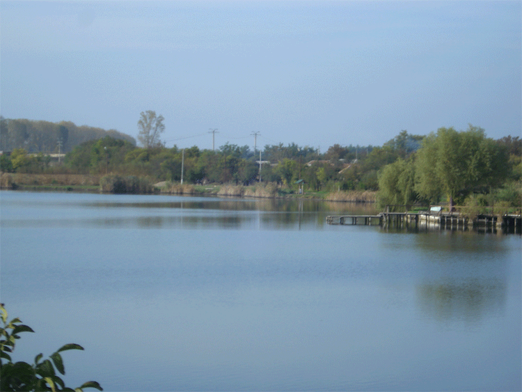 Colceag pond