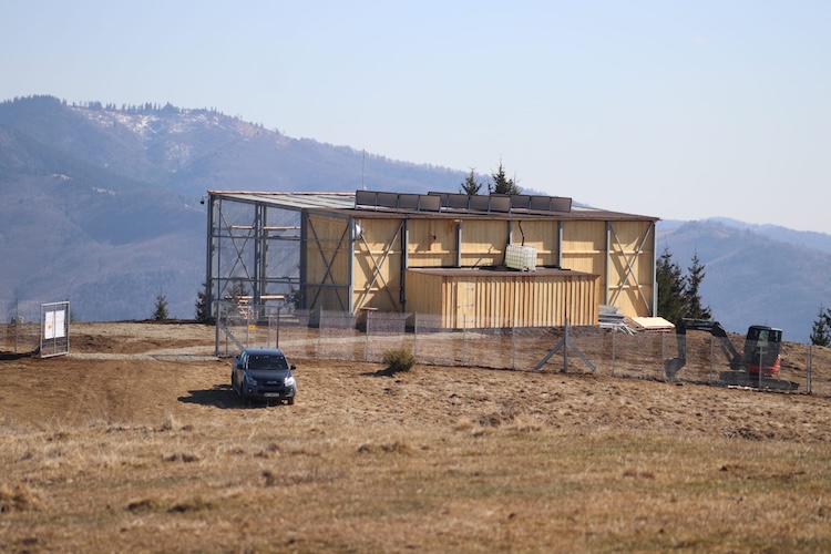 Griffon vultures aviary
