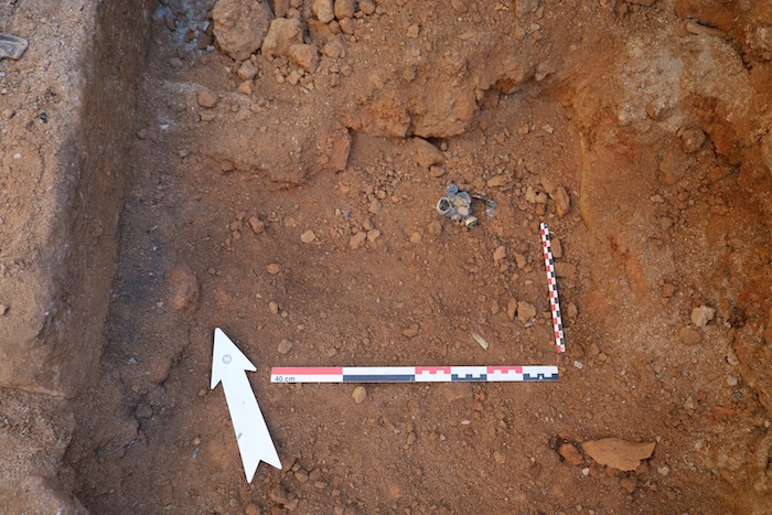 Histria discovery 2025