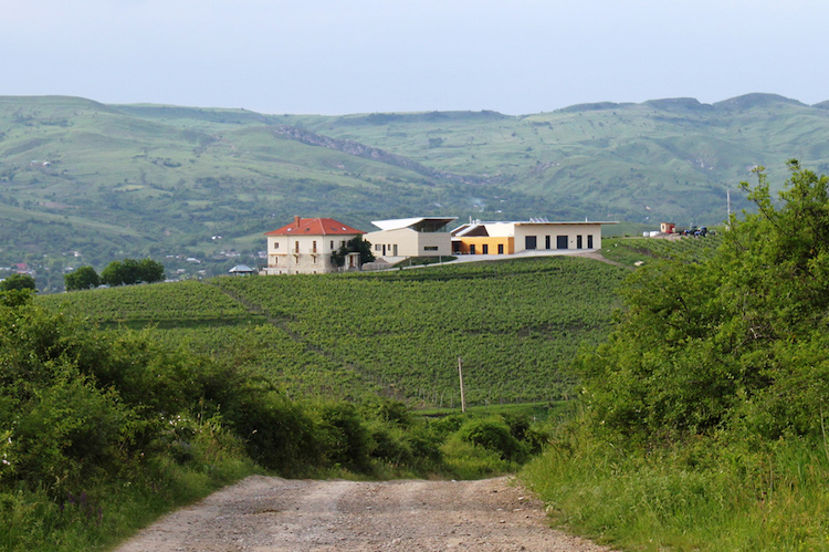 Lacerta winery