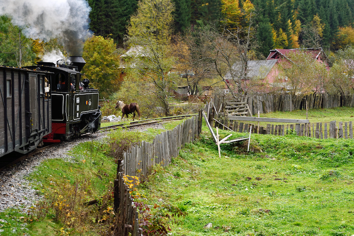 Vaser Valley steam train