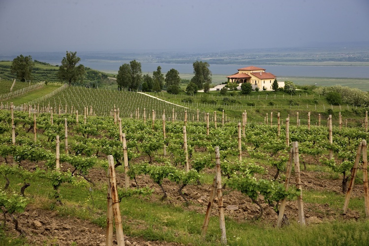 Stirbey winery