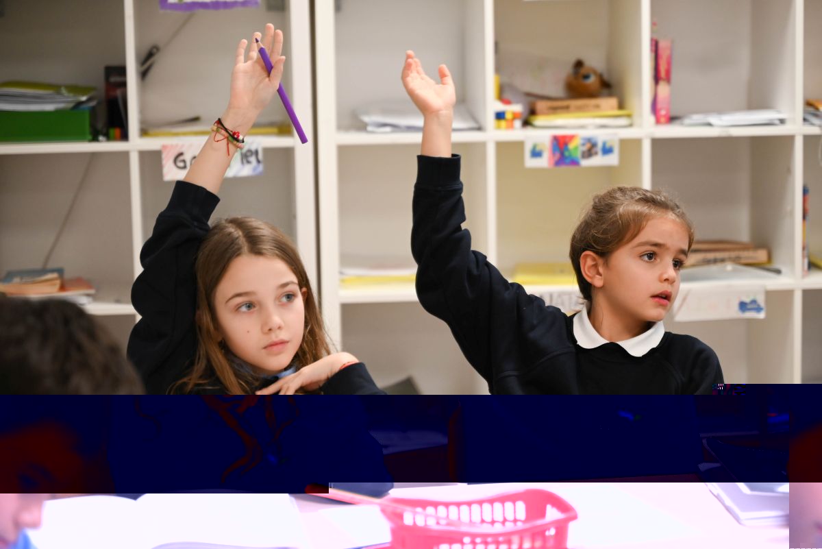 Verita International School