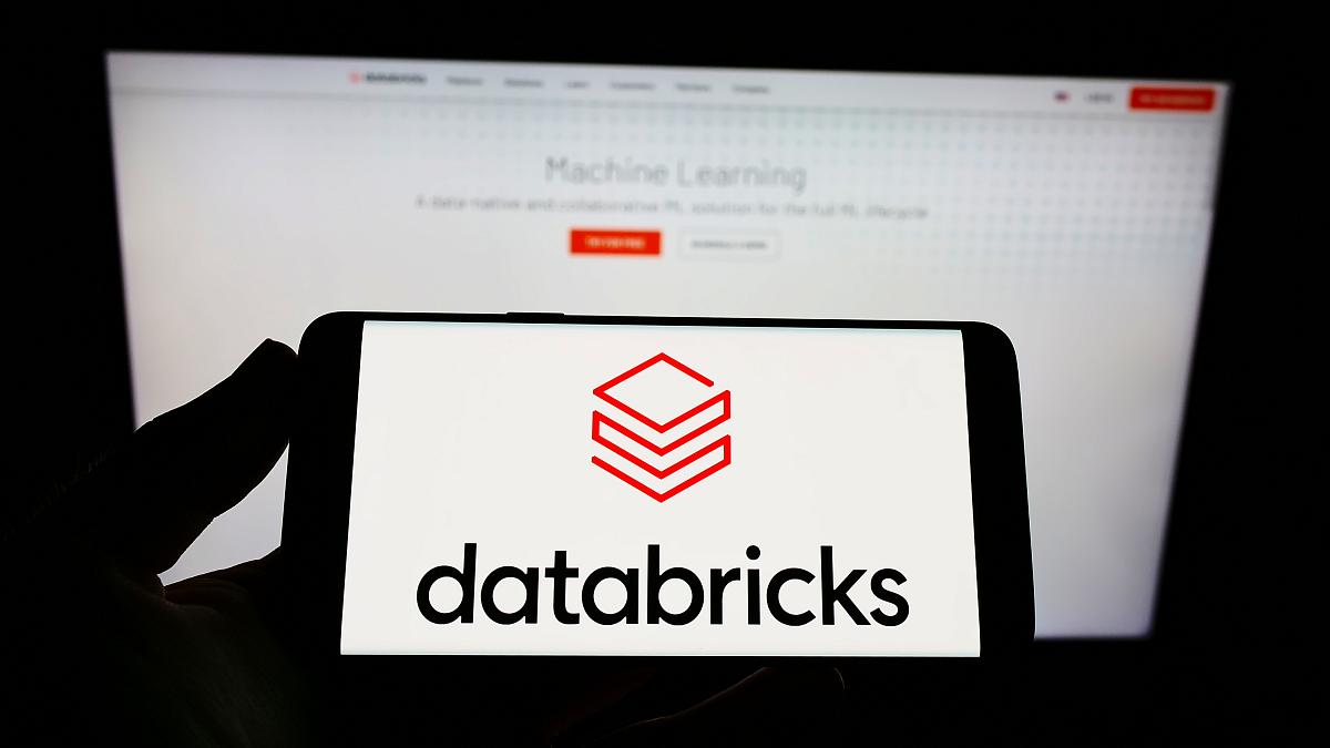 Romanian-founded data company Databricks launches accelerator for AI  startups | Romania Insider