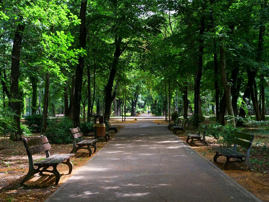 Kiseleff Road