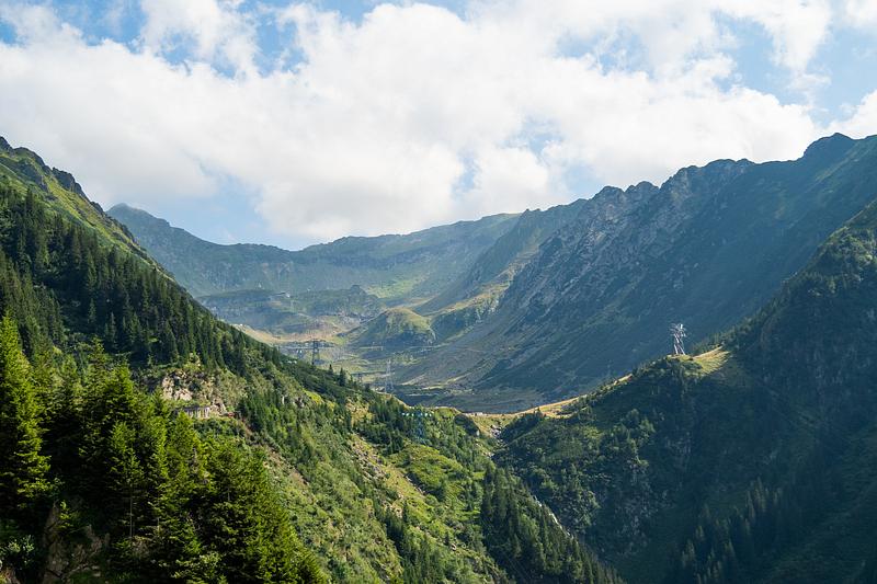 Conservation Carpathia este partener cu cel mai mare parc național din Germania