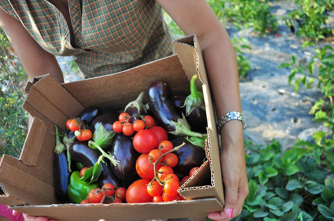 Românii cheltuiesc de 50 de ori mai puțin pe alimente ecologice decât media UE