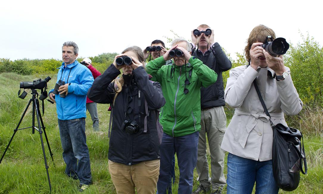 Birds of a feather flock to the Big Day 2022 ornithological marathon ...