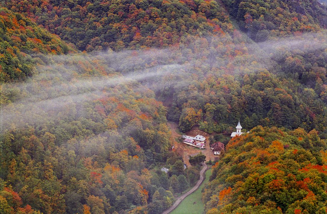 România Poza zilei din Dreamstime: Parcul Național Cozia în culorile toamnei