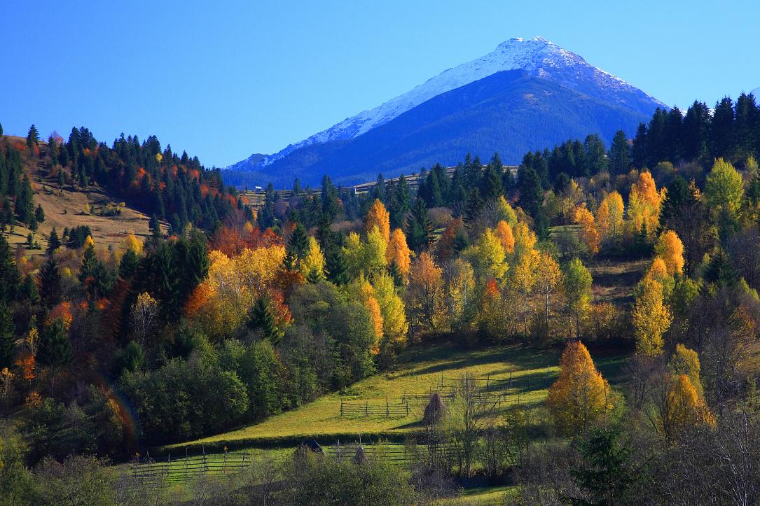 România Fotografie de Dreamstime: Parcul Național Munții Rodney în culorile toamnei