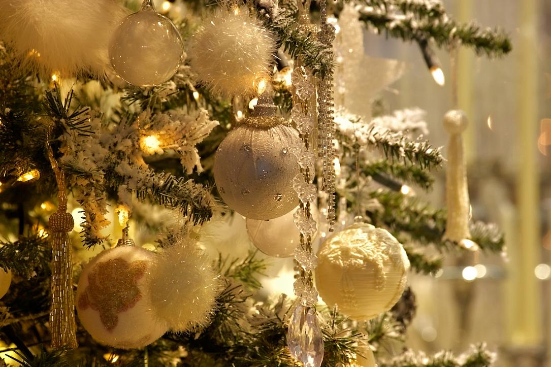 Romanian Christmas tree charity auction returns in December to raise ...