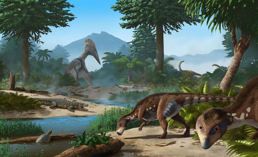 Paleontologii au descoperit un nou tip de dinozaur la Haśeg, România Paleontologii au descoperit un nou tip de dinozaur la Haśeg, România