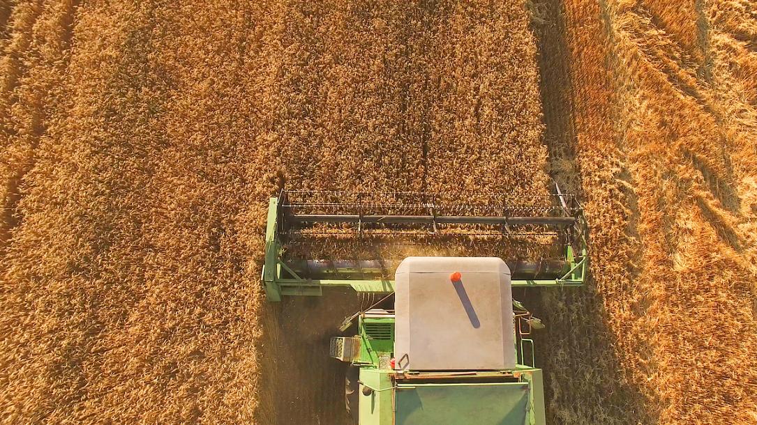 Agrofert din Cehia achizitioneaza compania romaneasca de comercializare a cerealelor East Grain