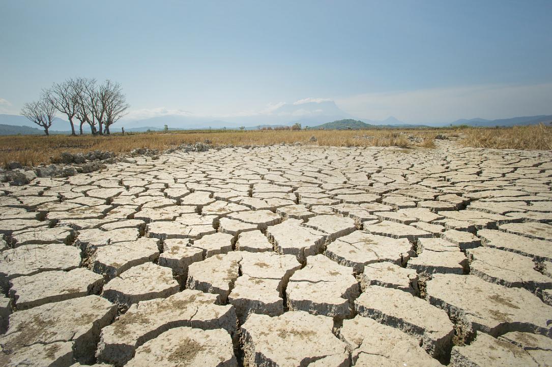 România primește 34 de milioane de euro din Fondul European de Solidaritate pentru a acoperi pagubele cauzate de secetă