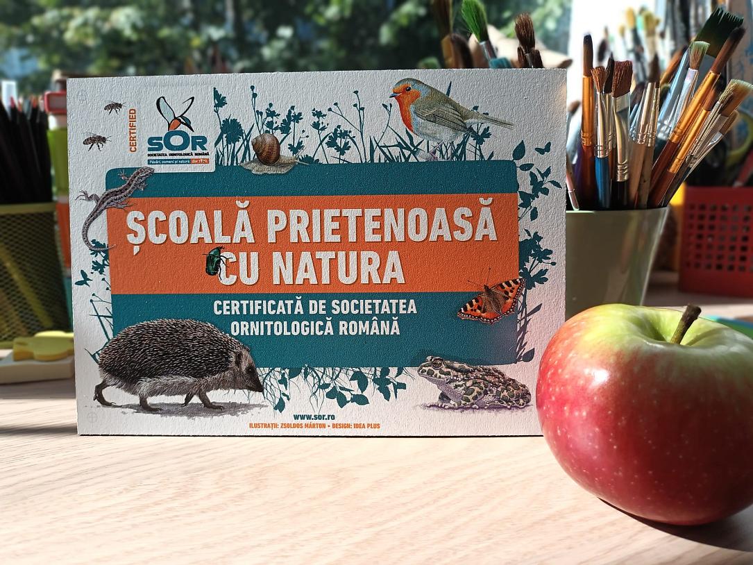 „Școli și grădinițe prietenoase cu natura” lansează cea de-a opta ediție în România