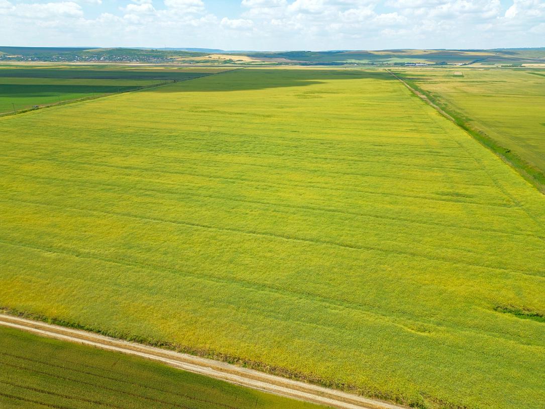 O fermă complet operațională de 730 de hectare în estul României este de vânzare