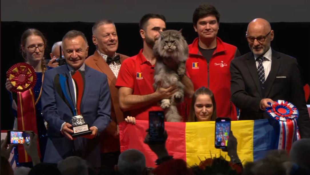 O pisică romană câștigă prestigiosul FIFe World Expo de la Strasbourg