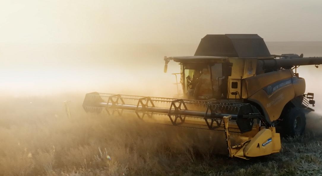 Vector Holdings a ajuns la 27.000 de hectare de teren agricol în România în urma unor noi achiziții.